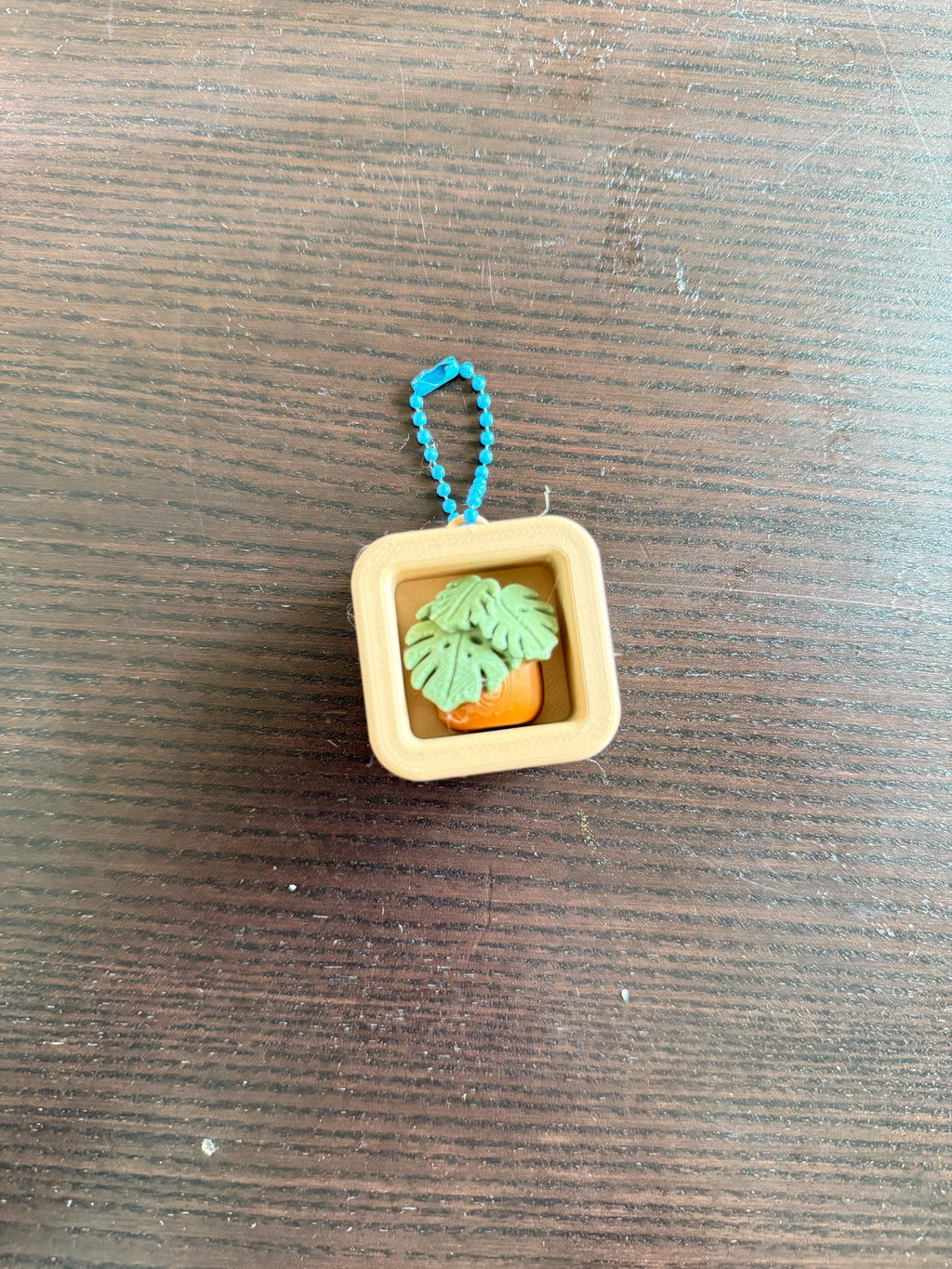 Planter Clicker Keychain: Plant mom , Plant collectors