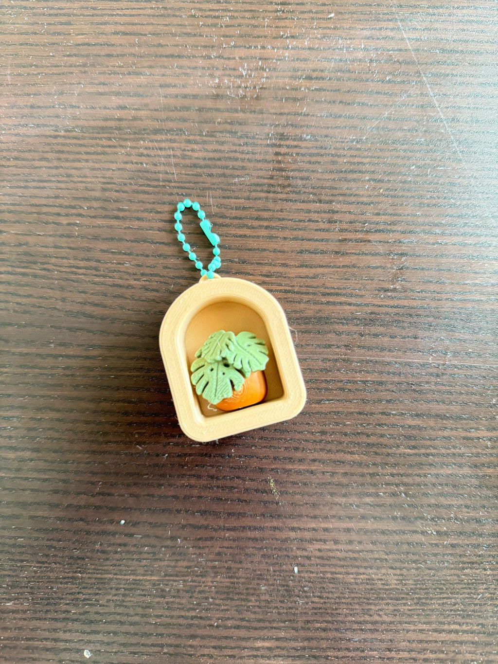 Planter Clicker Keychain: Plant mom , Plant collectors