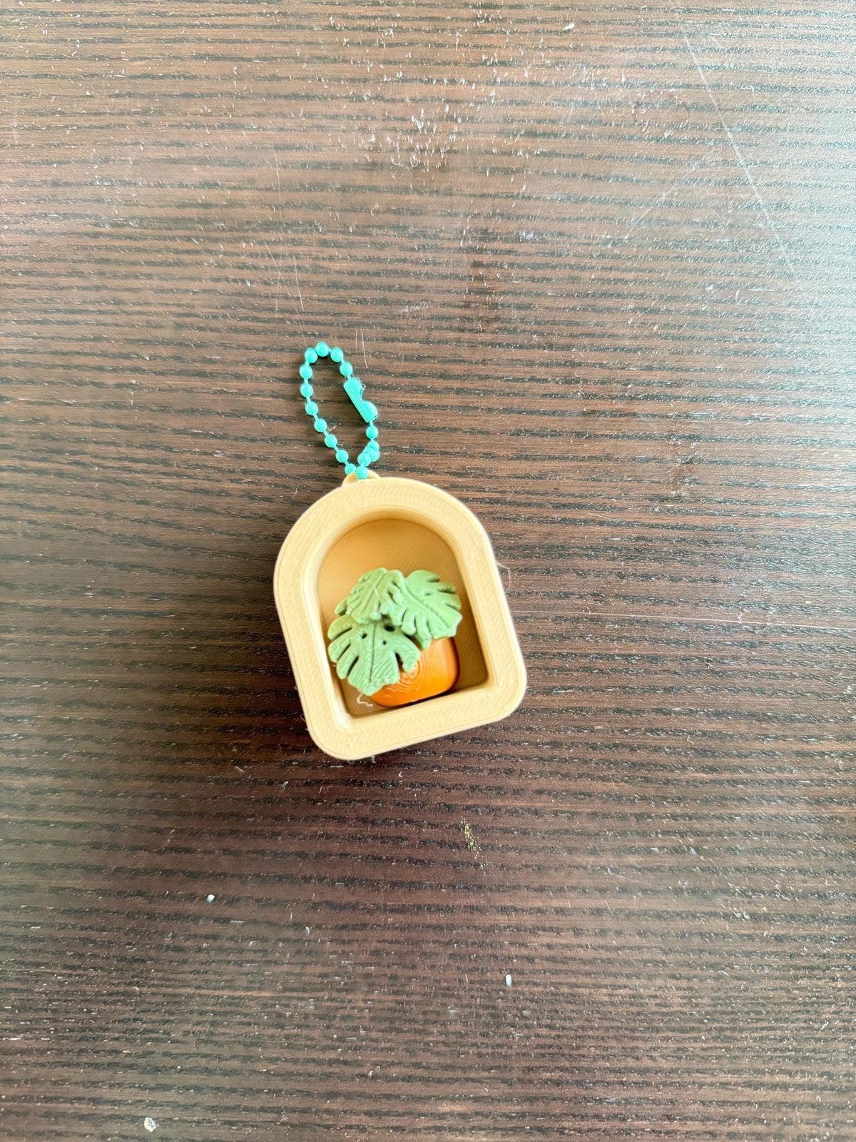 Planter Clicker Keychain: Plant mom , Plant collectors