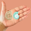 Shell Clay Cutters Polymer Clay cutter