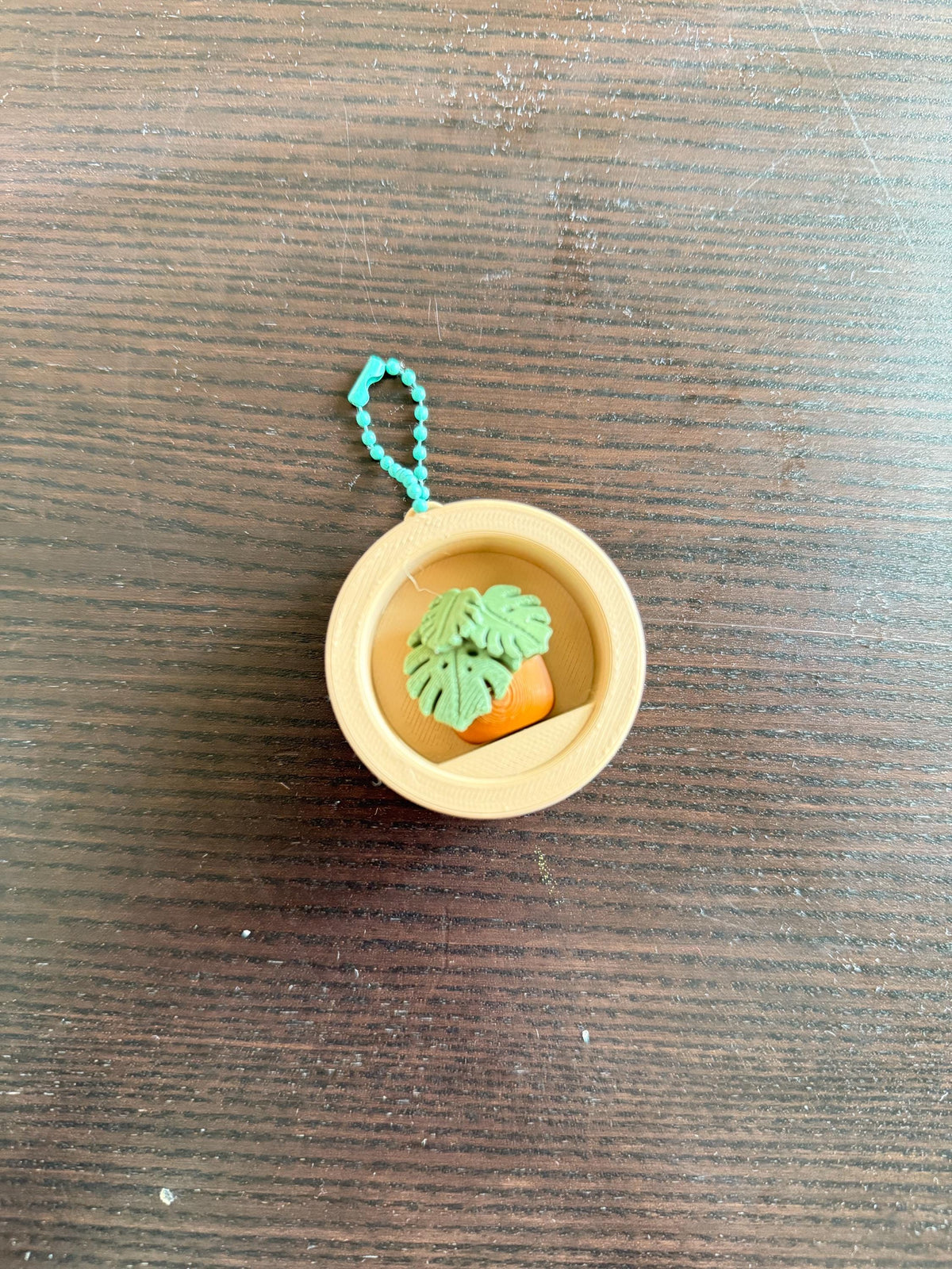 Planter Clicker Keychain: Plant mom , Plant collectors
