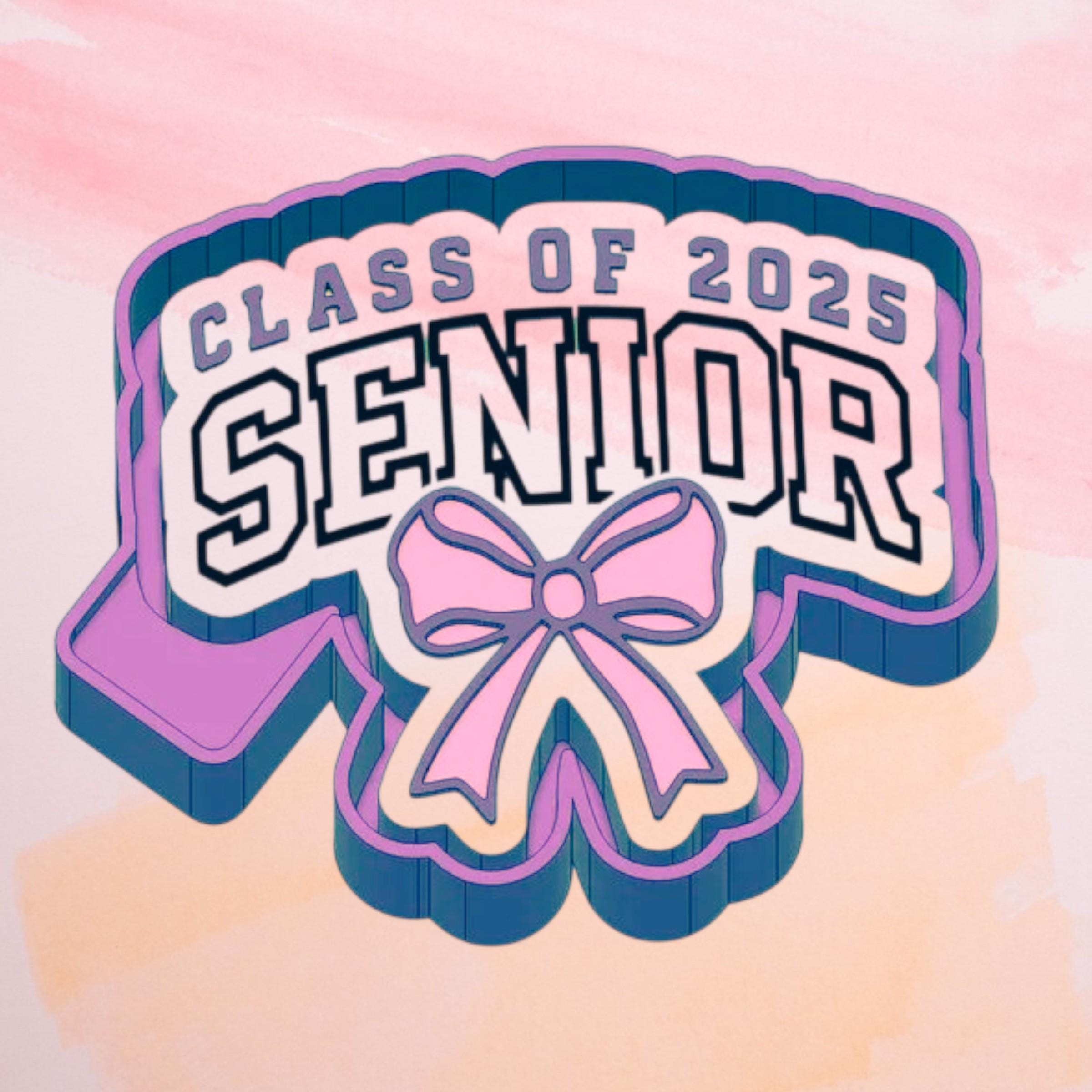 Coquette Bow Senior Class Of 2025 Freshie  Mold/ 3d molder